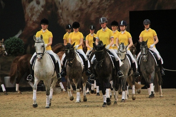 Pferd_Jagd   096.jpg